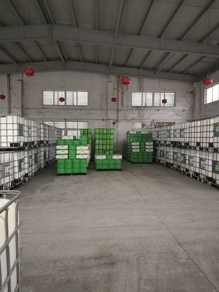 Chine Shenzhen Taiqiang Investment Holding Co., Ltd Profil de la société